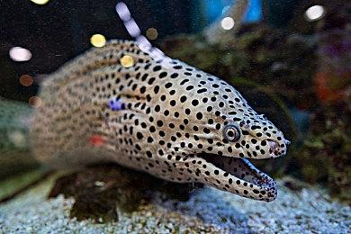 玩家自制作品《时空分裂者：倒带》公布进度更新视频