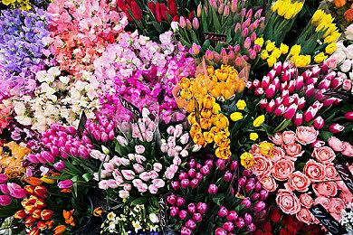 《半条命2》全新转换MOD发布 指挥联合军参与战役